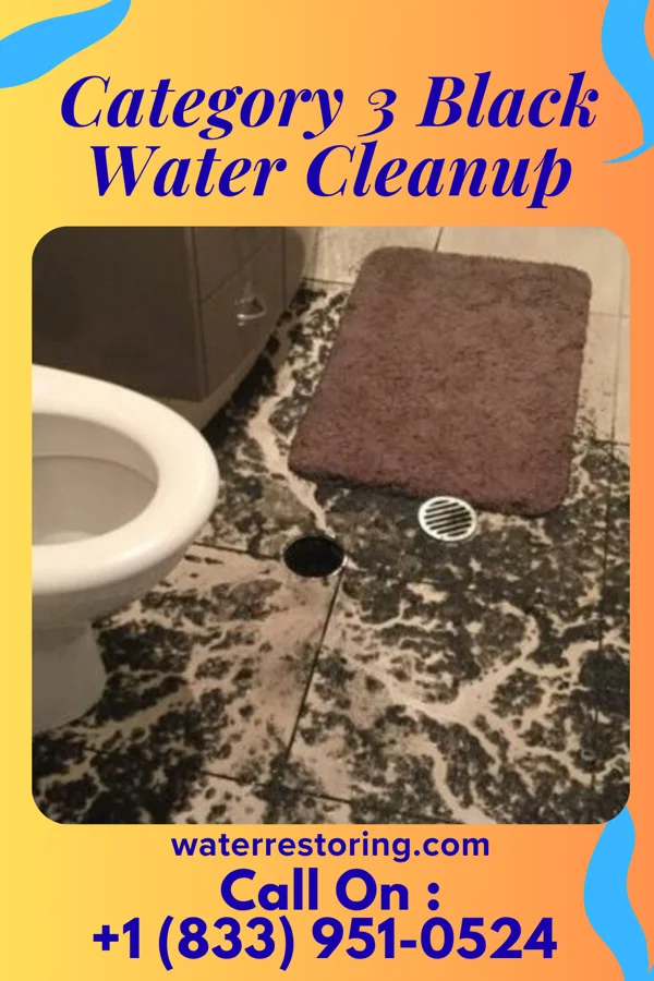 Category 3 Black Water Cleanup in Melvindale, MI