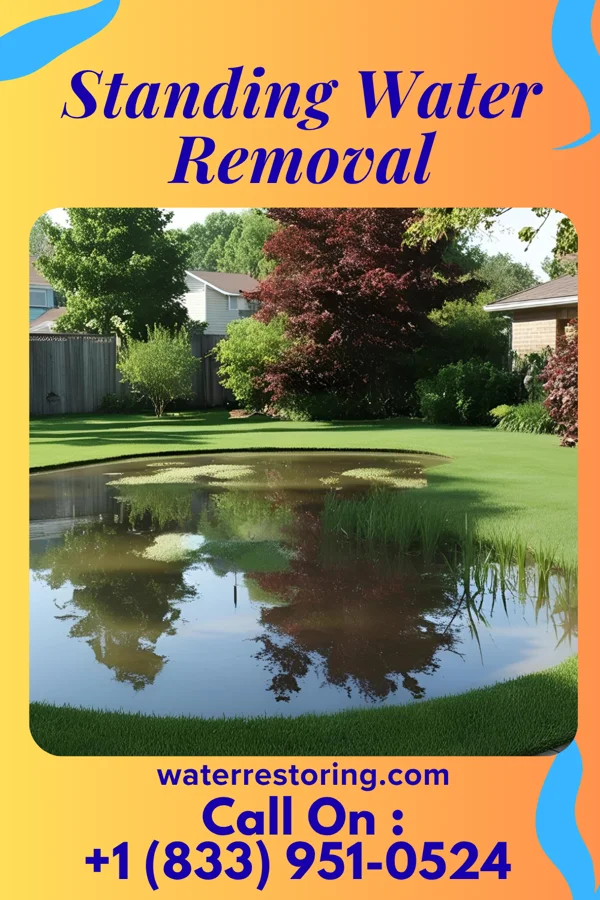 Standing Water Removal in Melvindale, MI